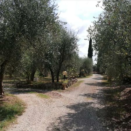 콜레 발델사 Nel Chianti Lungo La Francigena 아파트 외부 사진