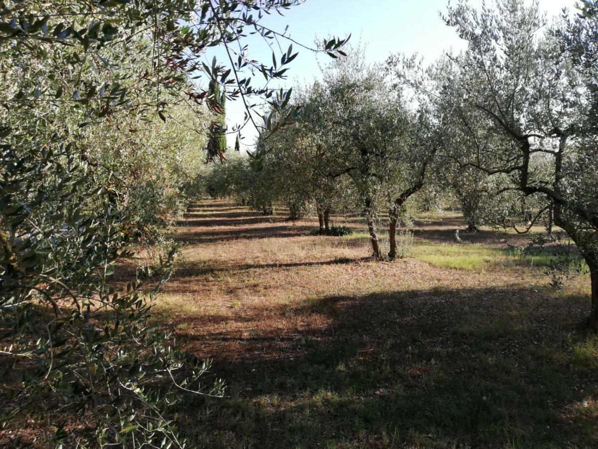 콜레 발델사 Nel Chianti Lungo La Francigena 아파트 외부 사진