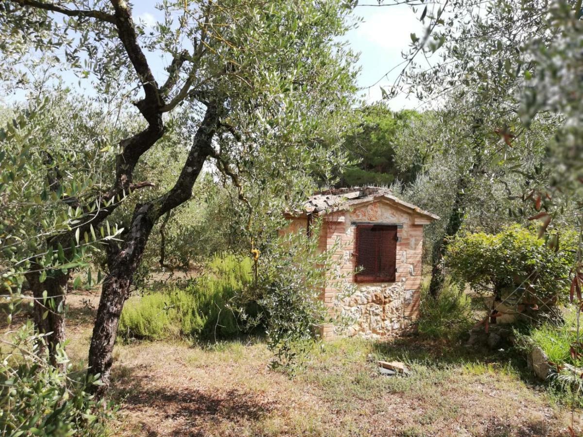 콜레 발델사 Nel Chianti Lungo La Francigena 아파트 외부 사진