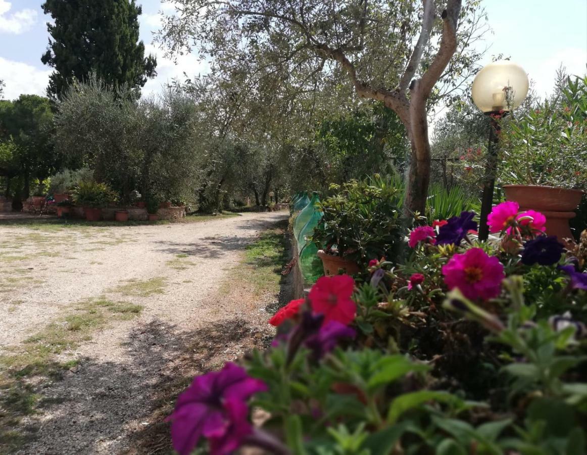 콜레 발델사 Nel Chianti Lungo La Francigena 아파트 외부 사진
