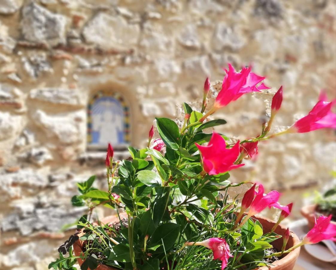 콜레 발델사 Nel Chianti Lungo La Francigena 아파트 외부 사진