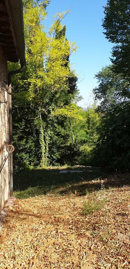 콜레 발델사 Nel Chianti Lungo La Francigena 아파트 외부 사진