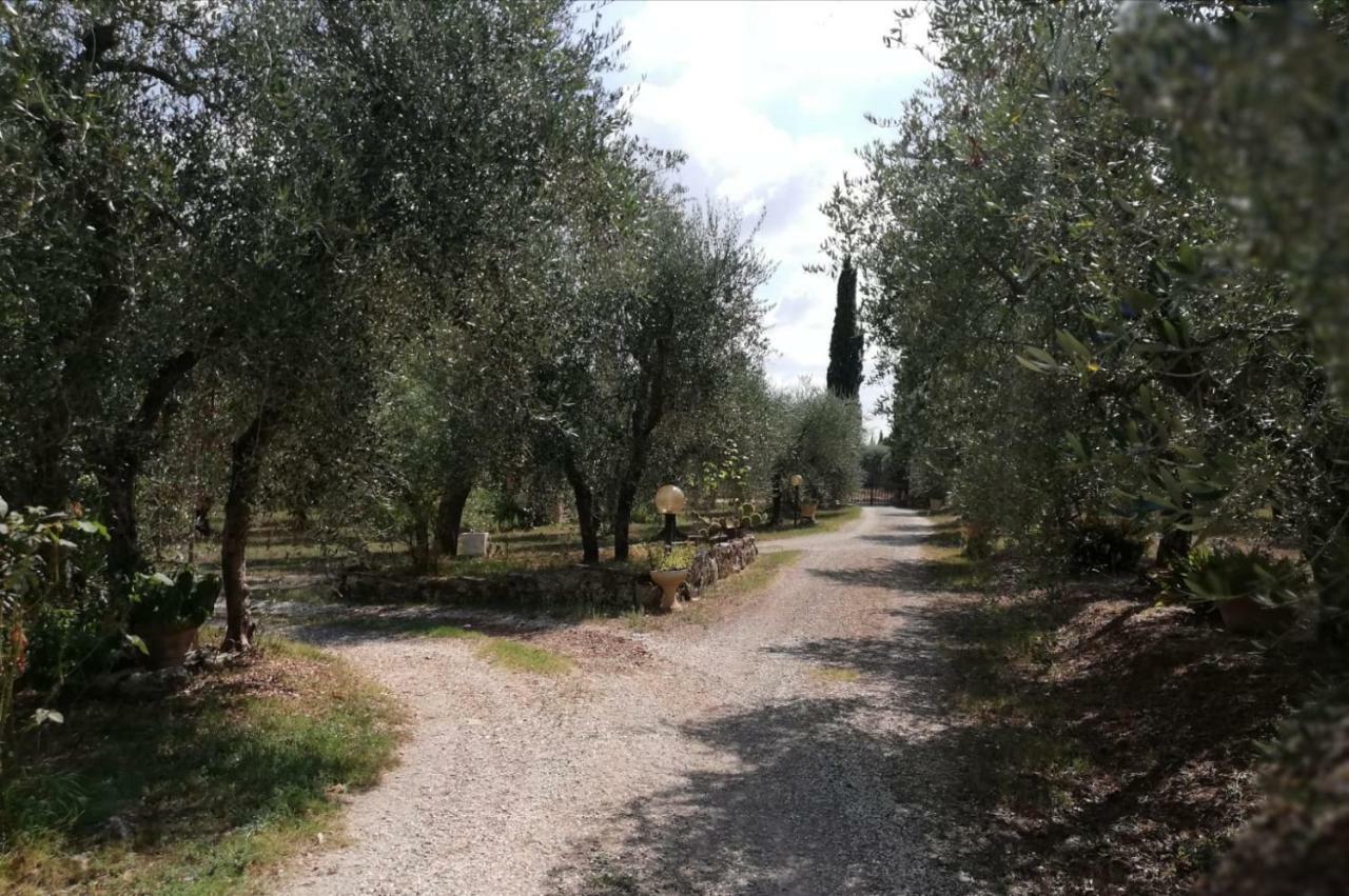 콜레 발델사 Nel Chianti Lungo La Francigena 아파트 외부 사진